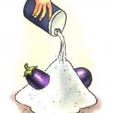 To Salt, or Not to Salt?