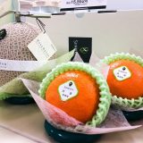 mystery melon