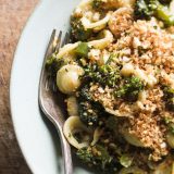 orecchiette-broccolini