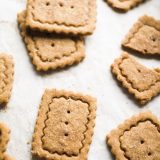 speculoos-v