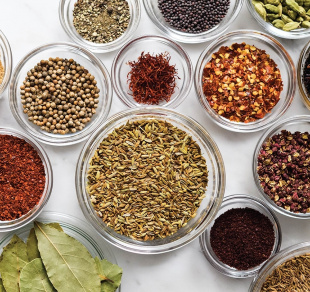 Spice Class Banner 01